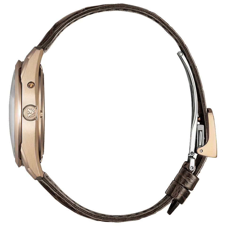 【世界限定400本】ザ・シチズン The CITIZEN AQ4106-00A