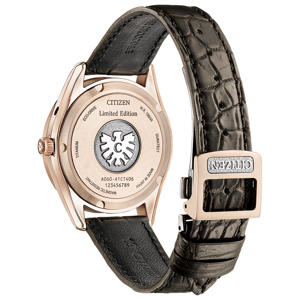 【世界限定400本】ザ・シチズン The CITIZEN AQ4106-00A