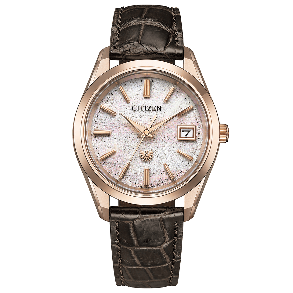 【世界限定400本】ザ・シチズン The CITIZEN AQ4106-00A