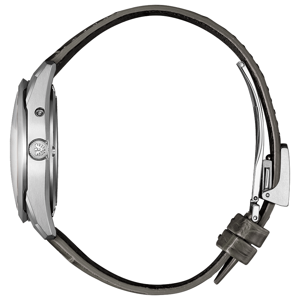 【世界限定400本】ザ・シチズン The CITIZEN AQ4100-22A